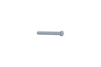 Weight Screws Bear, 0,5 oz, old Design